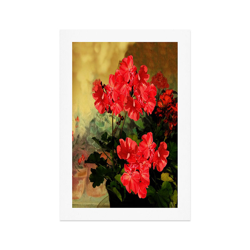 Decorative Red Geraniums  Floral Still Life Art Art Print Gallery Image 1