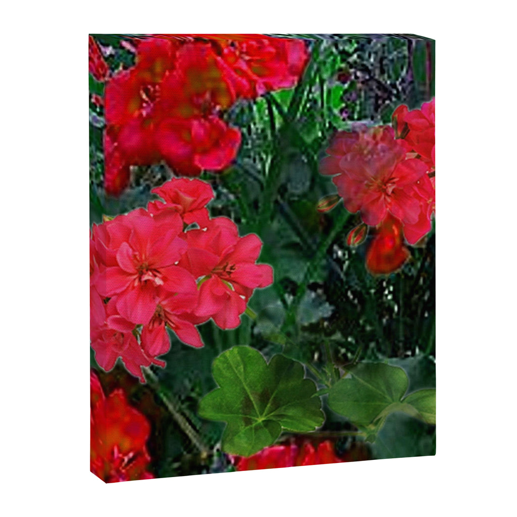 RED GERANIUMS GREEN GARDEN ART Canvas Print Gallery Image 8
