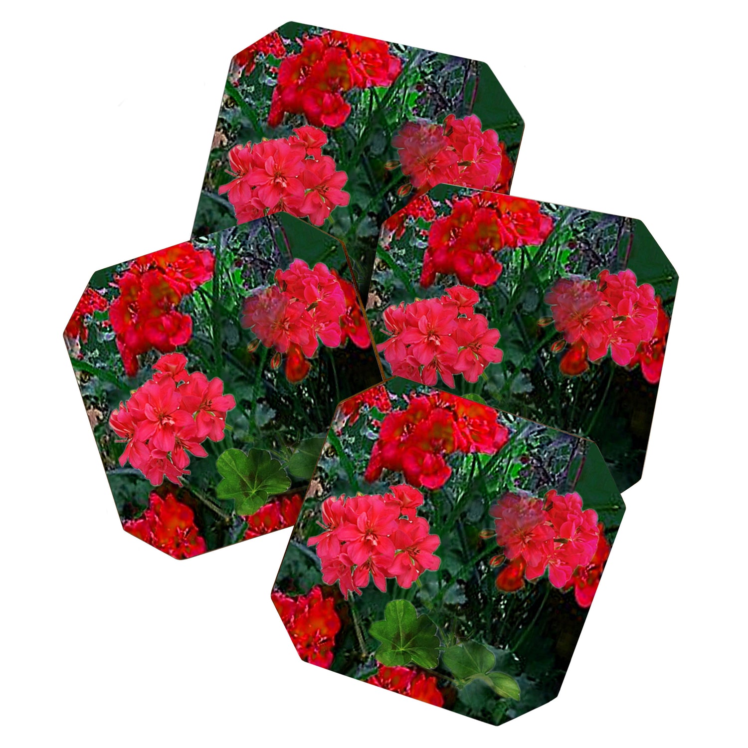 RED GERANIUMS GREEN GARDEN ART Coaster Gallery Image 1