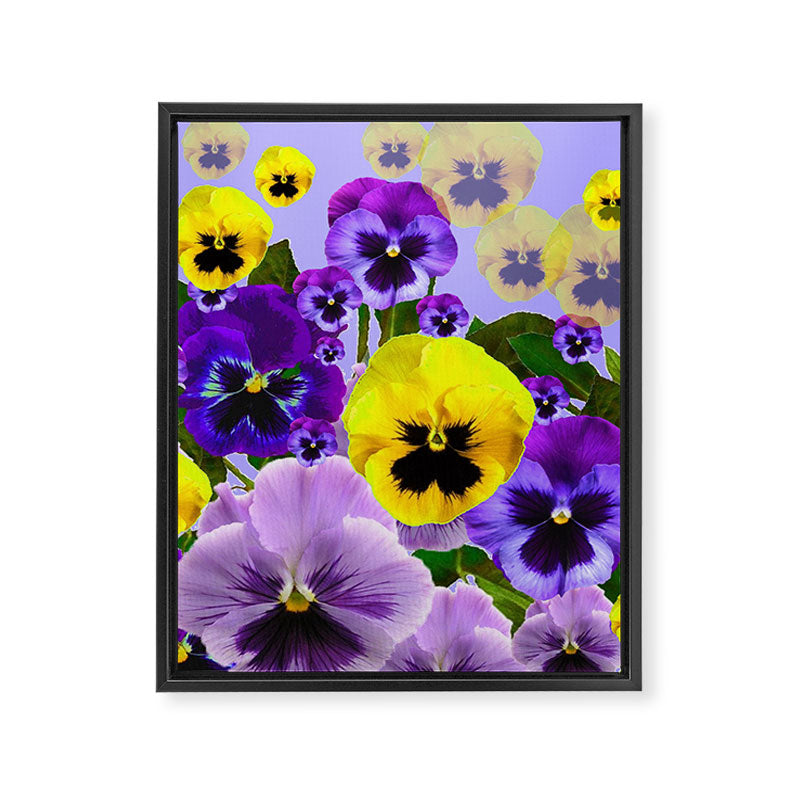 SPRING PURPLE & YELLOW PANSY FLOWERS Framed Canvas Print Gallery Image 8