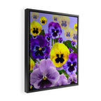 SPRING PURPLE & YELLOW PANSY FLOWERS Framed Canvas Print Gallery Image 2