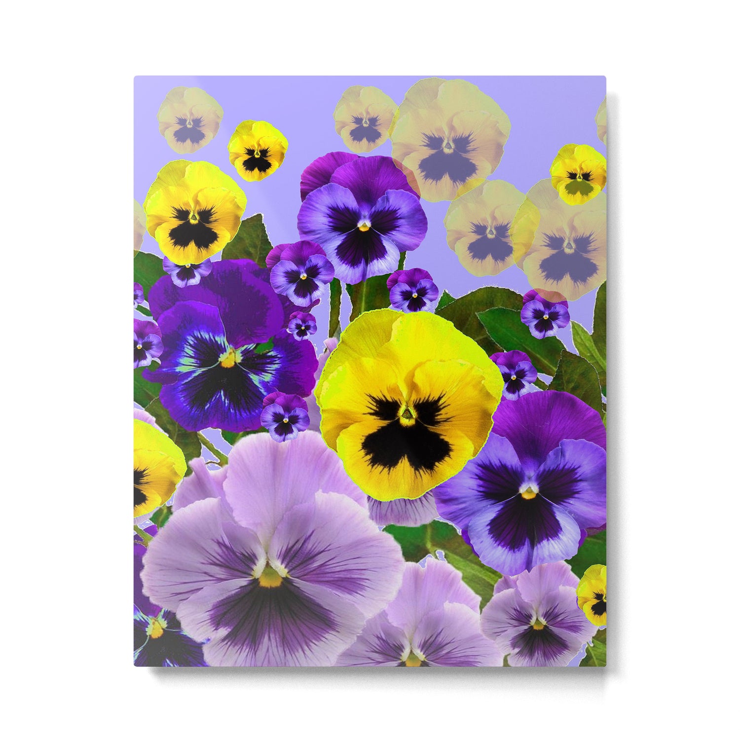 SPRING PURPLE & YELLOW PANSY FLOWERS Metal Print Gallery Image 6