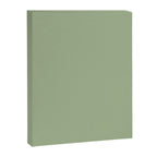 Sea Green Solid Matte Colour Blocks Canvas Print Gallery Image 8