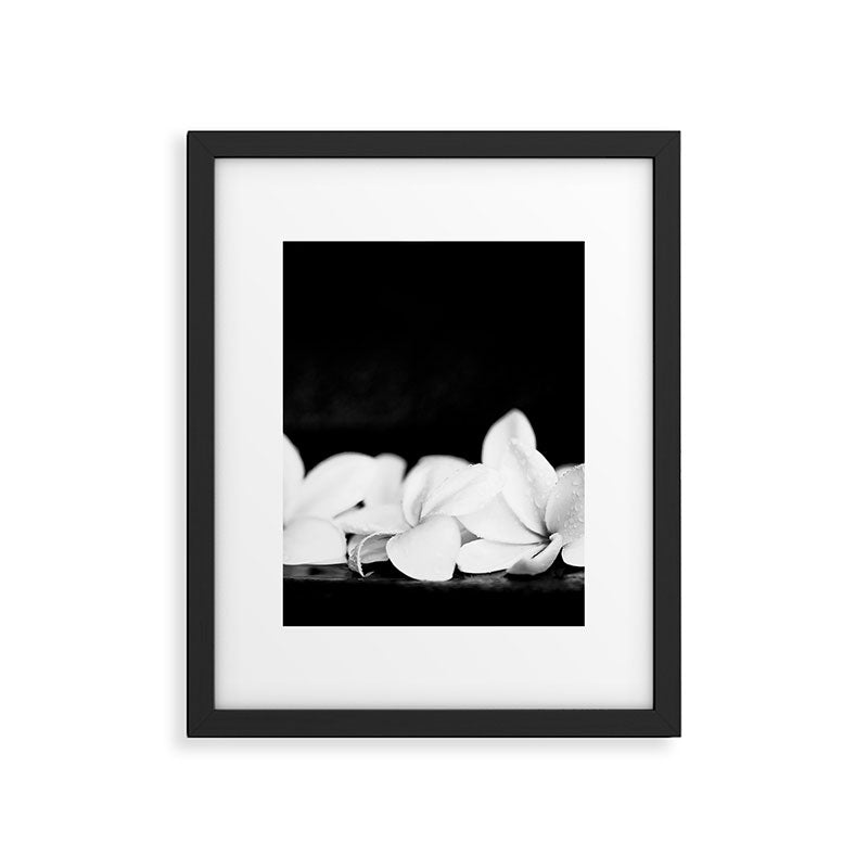 Singapore White Plumeria Flowers the Fragrance of Hawaii Framed Art Print Gallery Image 5