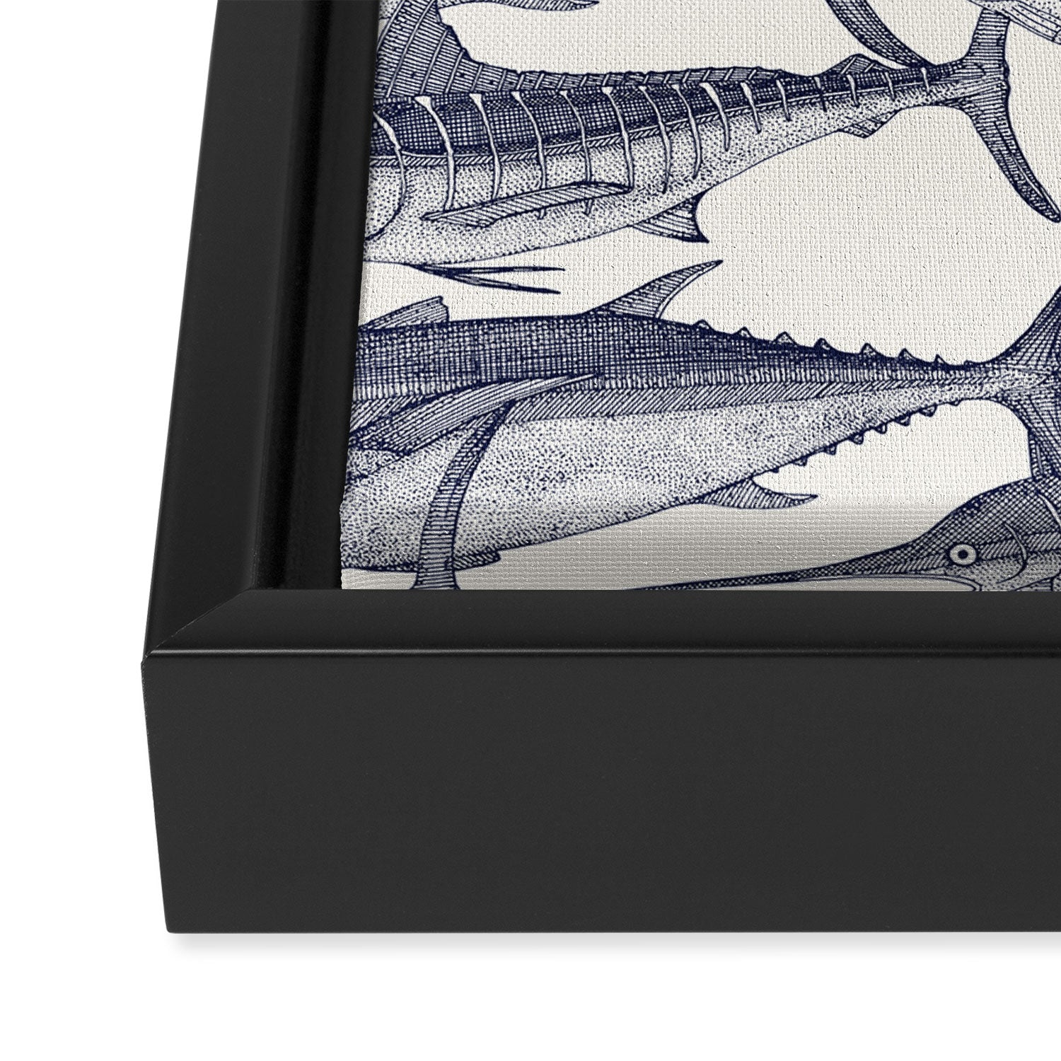 Atlantic fish blue Framed Canvas Print Gallery Image 3