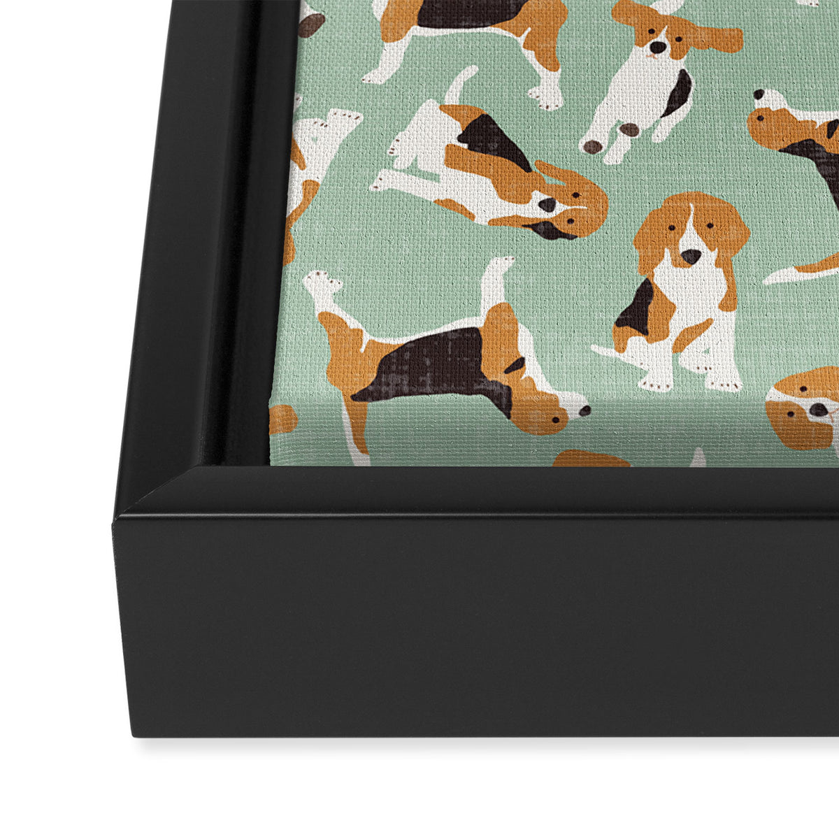 beagle scatter mint Framed Canvas Print Gallery Image 3