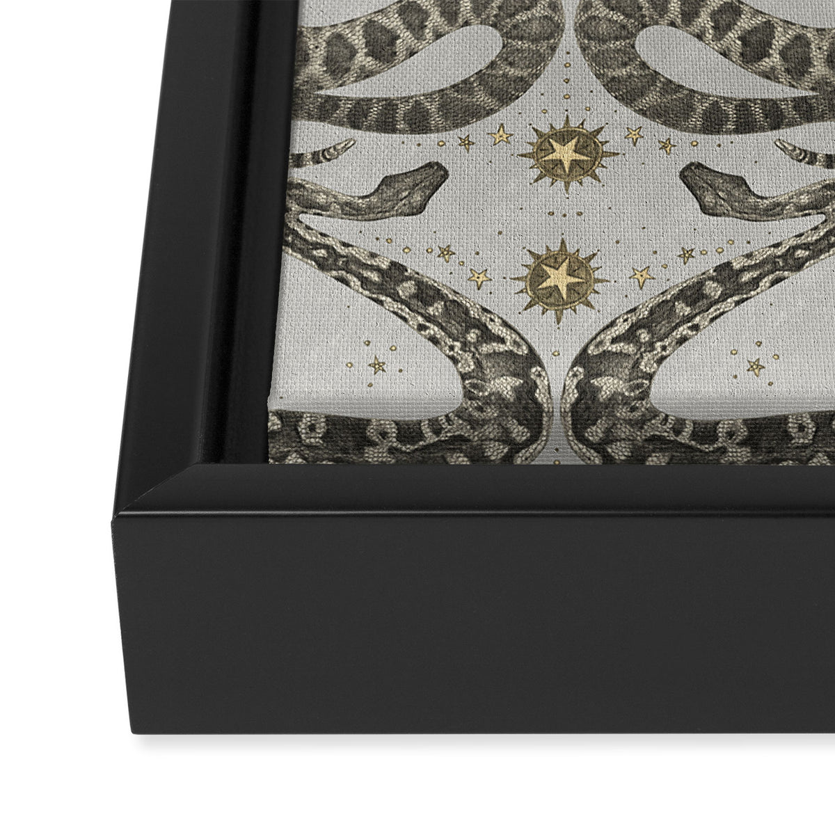 celestial snakes silver Framed Canvas Print Gallery Image 3