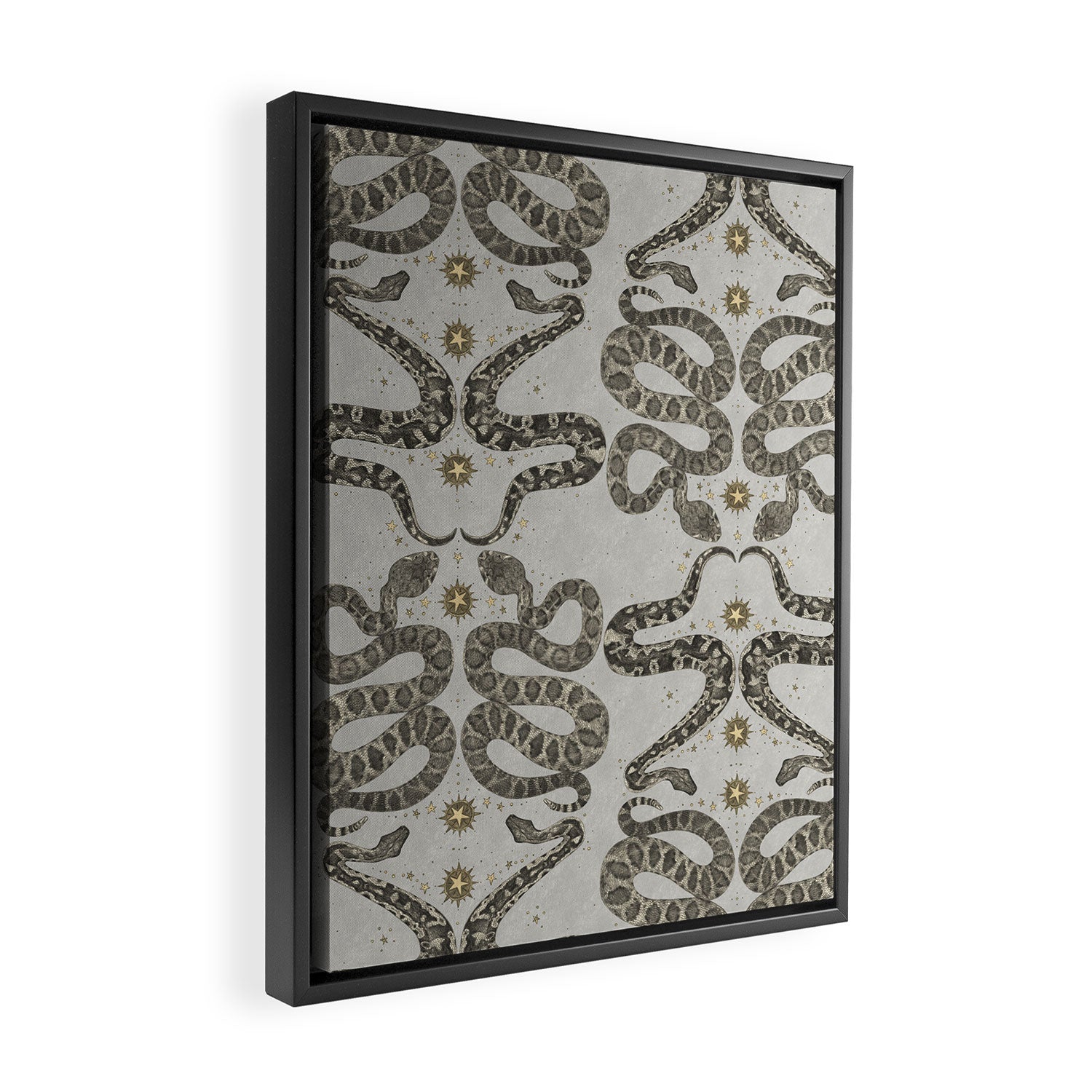 celestial snakes silver Framed Canvas Print Gallery Image 2