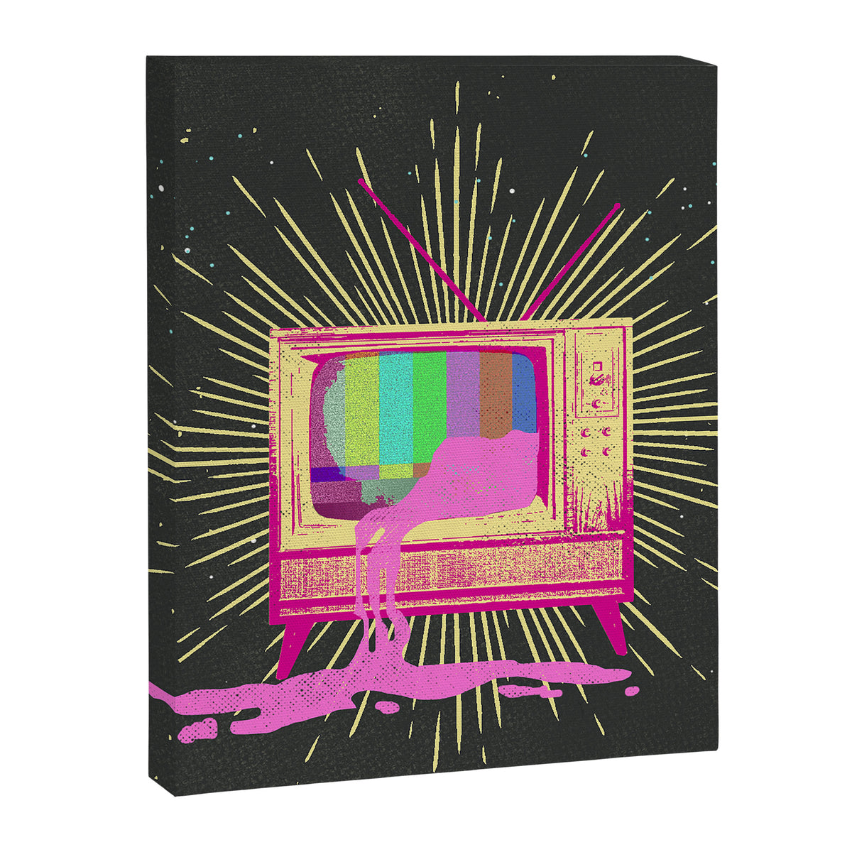 COLORVISION Canvas Print Gallery Image 8