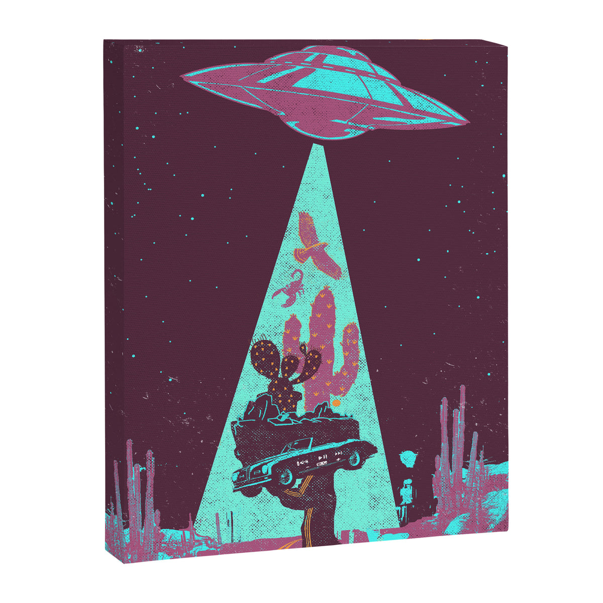 DESERT UFO Canvas Print Gallery Image 8