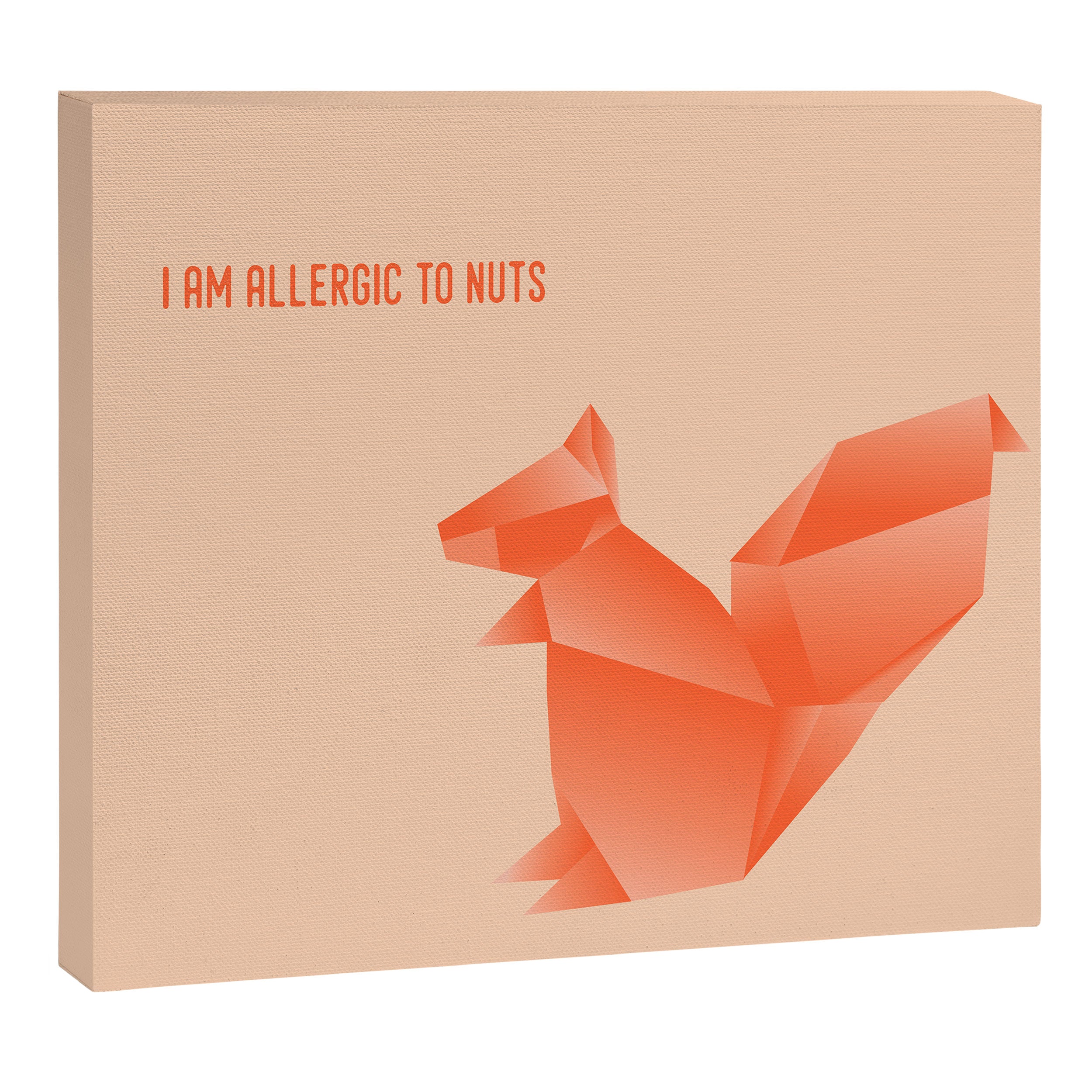 Allergic to Nuts - Origami Orange Squirrel Canvas Print Gallery Image 14