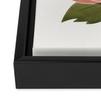 Delicate florals Framed Canvas Print Gallery Image 3