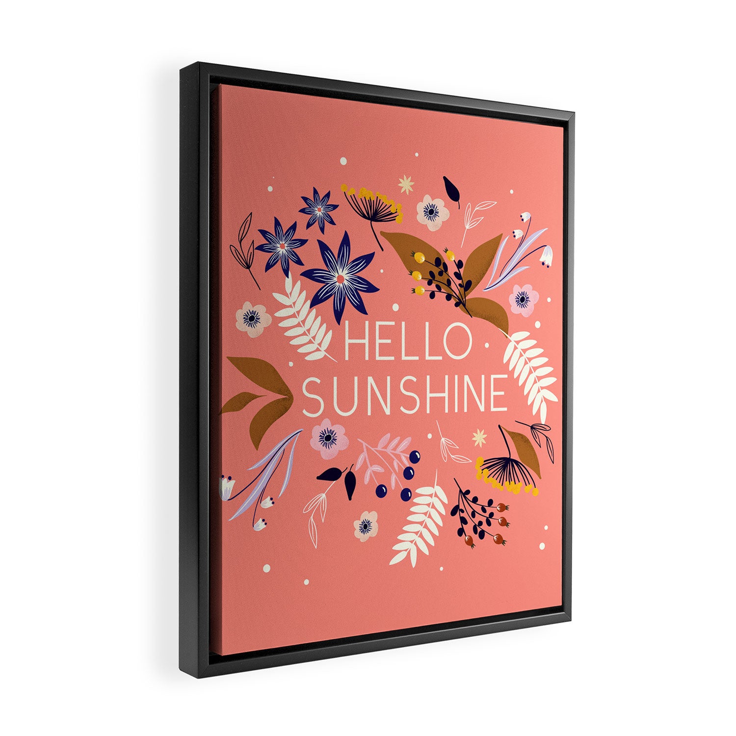 Hello Sunshine Framed Canvas Print Gallery Image 2
