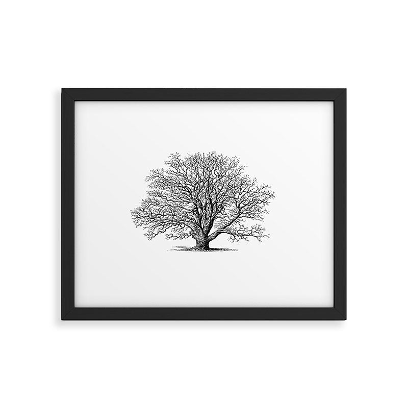 oak tree botanical no2 Framed Art Print Gallery Image 6