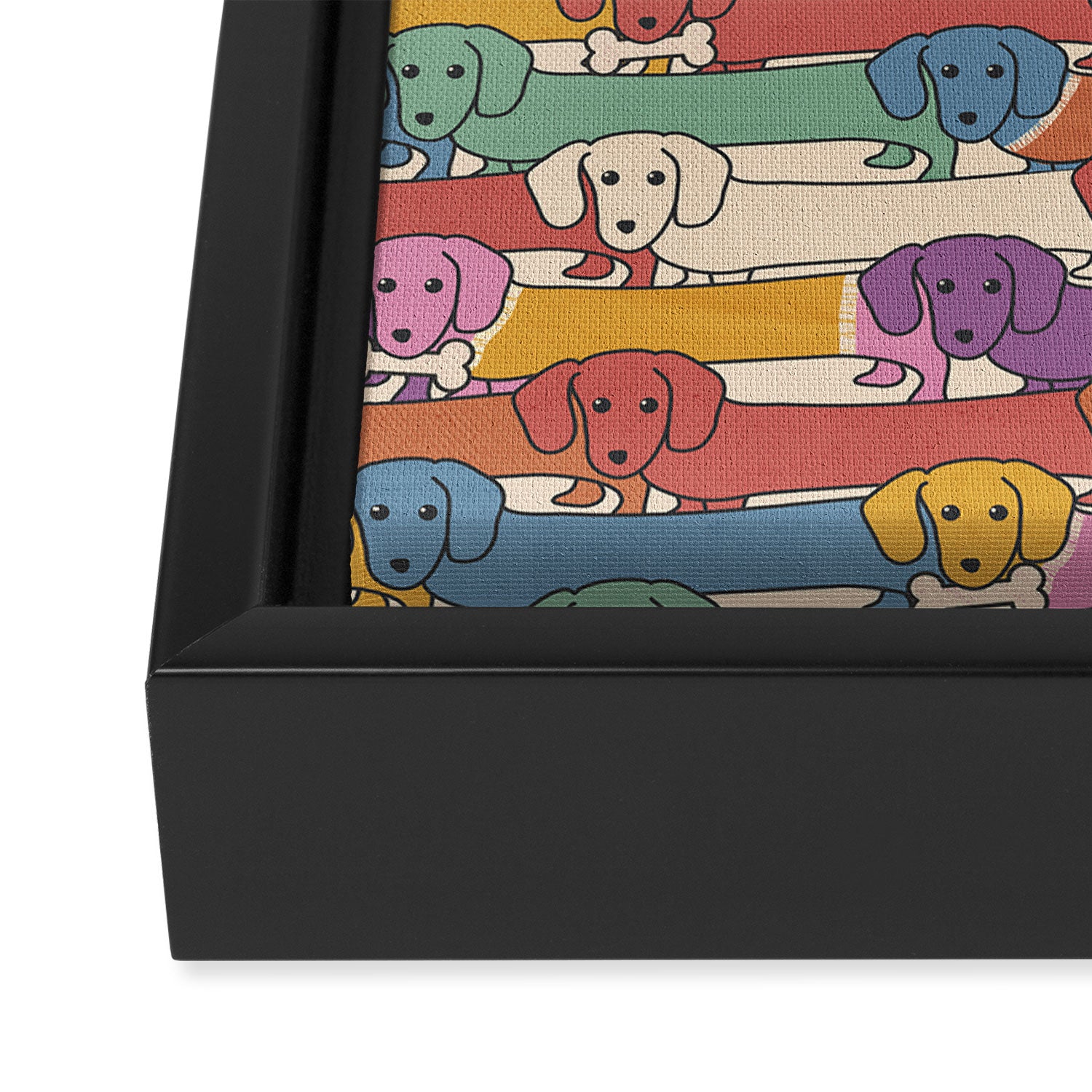 Retro Rainbow Funny Dachshunds Framed Canvas Print Gallery Image 3