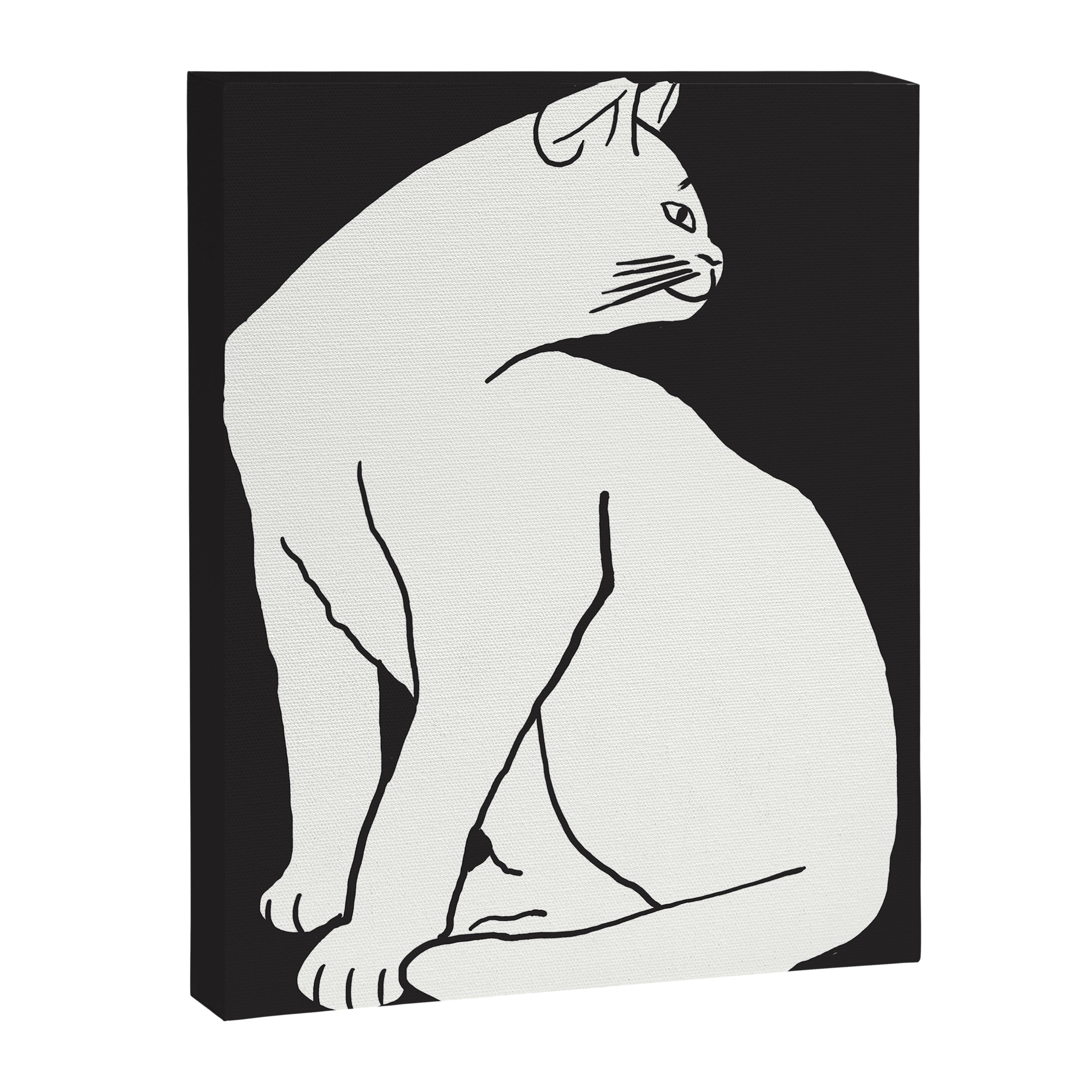 White Cat On Black Canvas Print Gallery Image 8