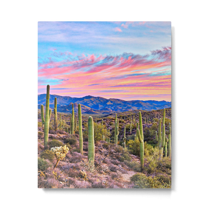 Arizona South West Sunset Cactus Desert Landscape Metal Print Gallery Image 1