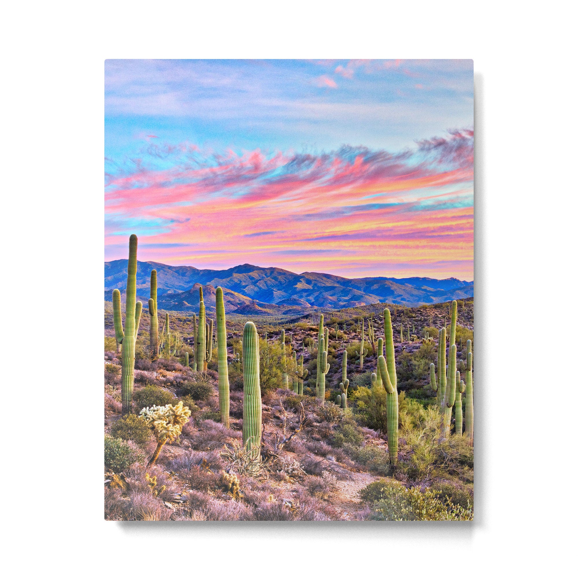 Arizona South West Sunset Cactus Desert Landscape Metal Print Gallery Image 6