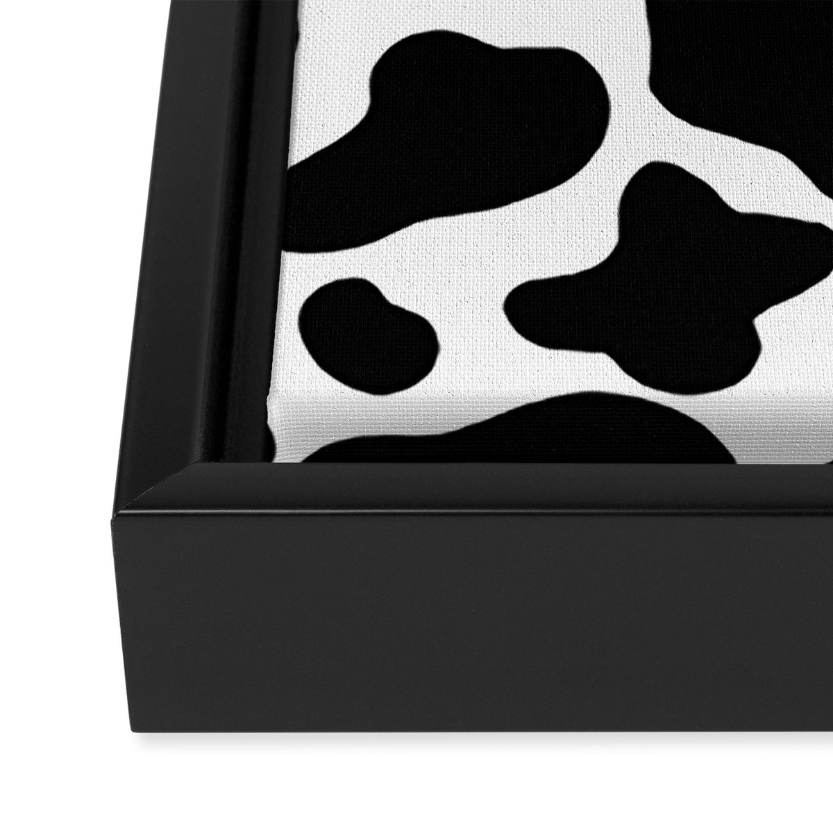 Cow Print Framed Canvas Print Gallery Image 3