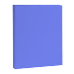 Periwinkle Blue Canvas Print Gallery Image 8