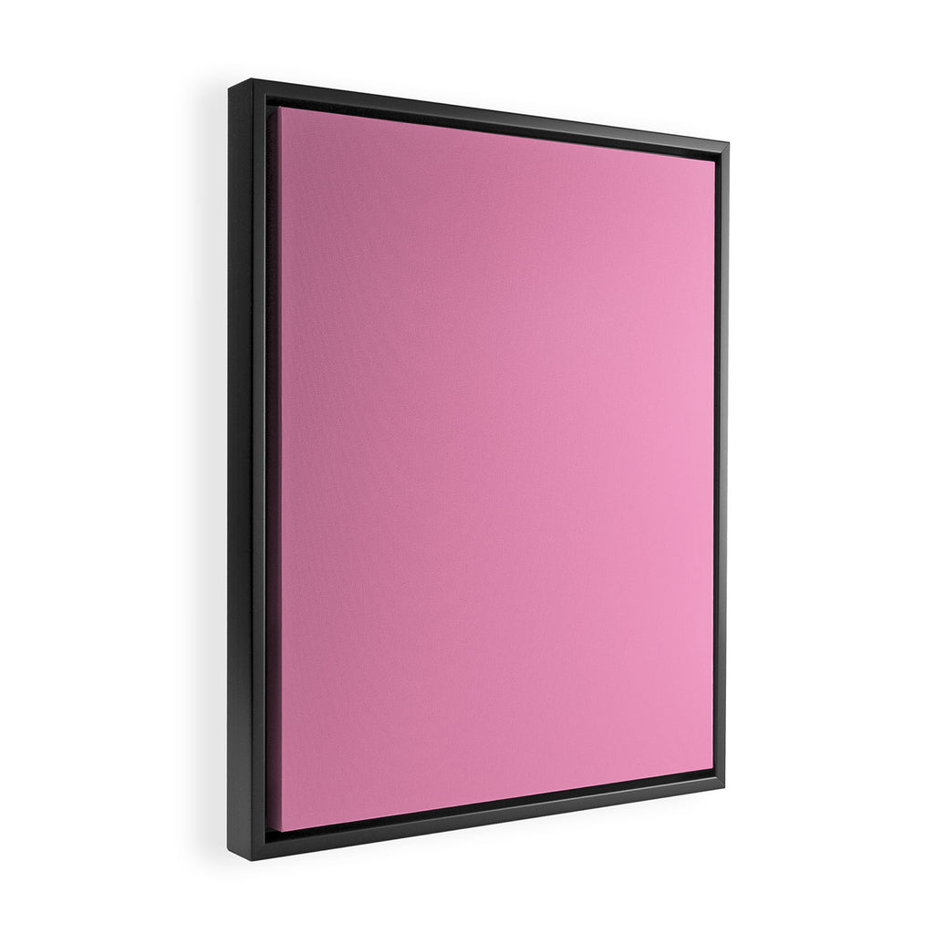 Pretty Pink Framed Canvas Print Gallery Image 2