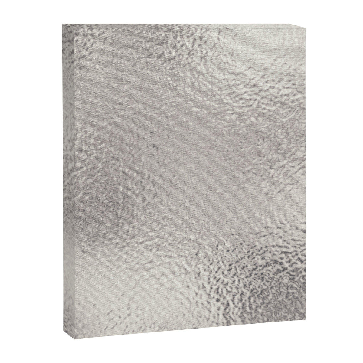 Simply Metallic in Silver Canvas Print Gallery Image 8