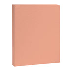Simply Sweet Peach Coral Canvas Print Gallery Image 8