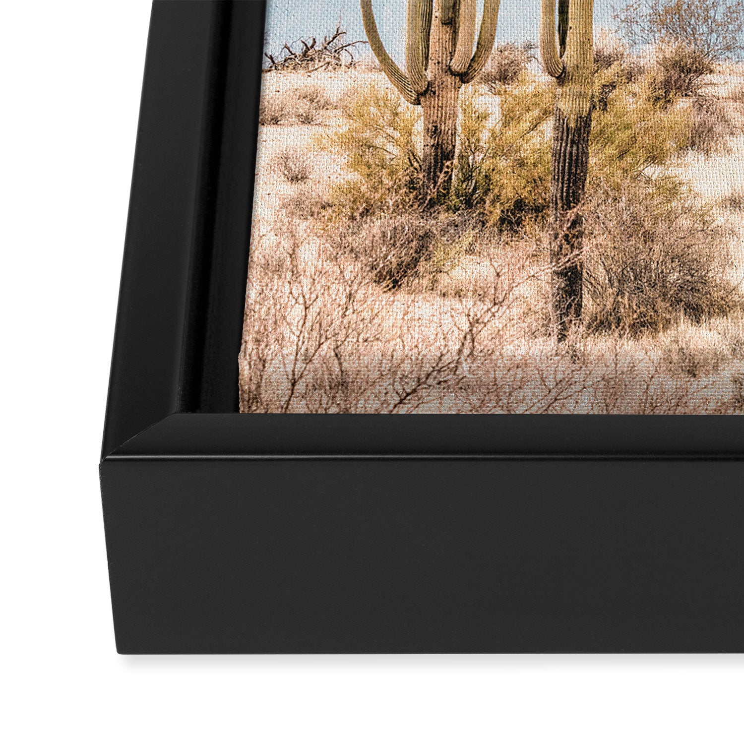 Arizona Sun rise Framed Canvas Print Gallery Image 3