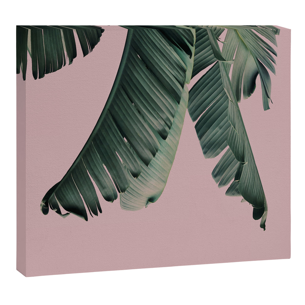 Banana Leaf Blush Canvas Print Gallery Image 6