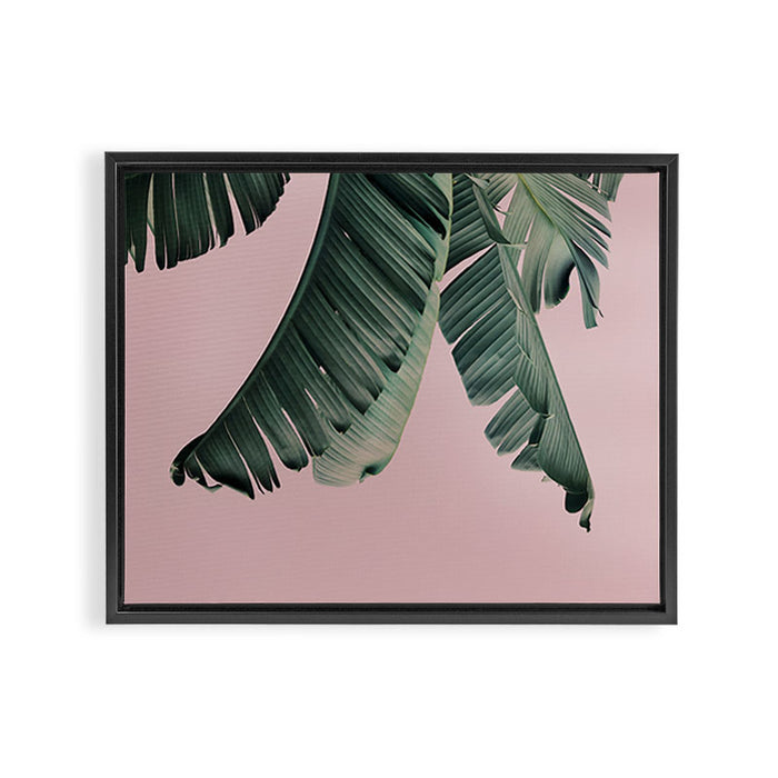 Banana Leaf Blush Framed Canvas Print Gallery Image 1