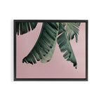 Banana Leaf Blush Framed Canvas Print Gallery Image 6