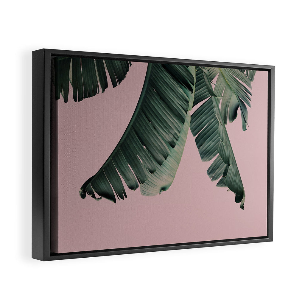 Banana Leaf Blush Framed Canvas Print Gallery Image 2