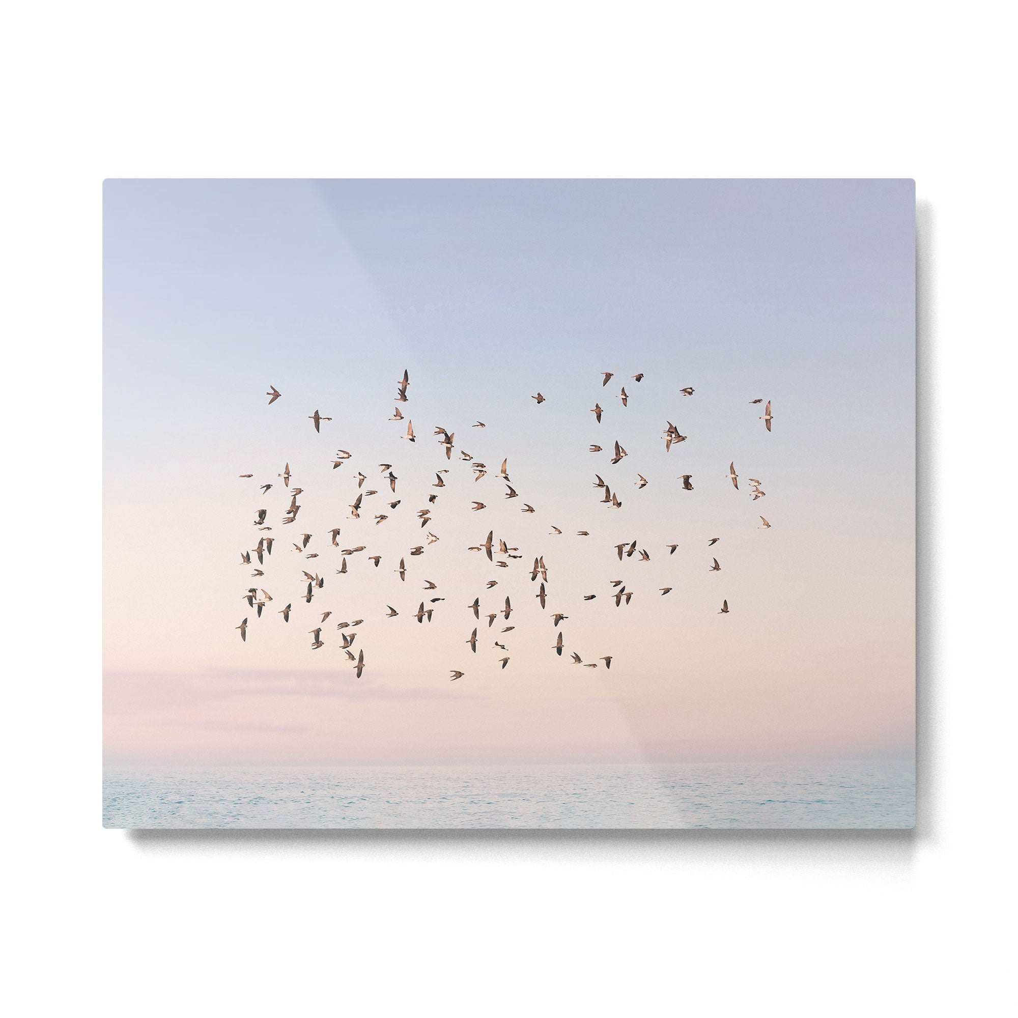 Before the Sun Sets Metal Print Gallery Image 4