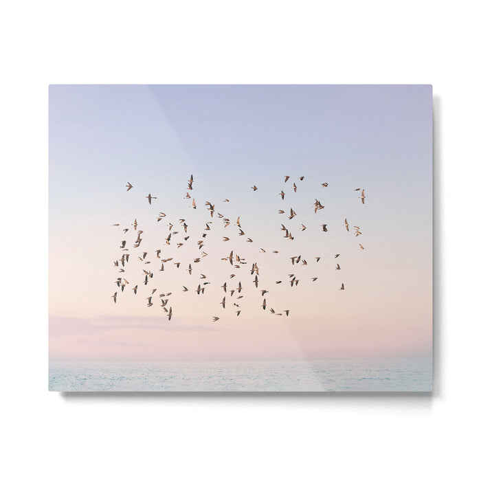 Before the Sun Sets Metal Print Gallery Image 1