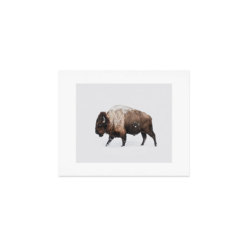 Bison Art Print Gallery Image 1