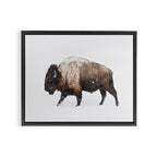 Bison Framed Canvas Print Gallery Image 6