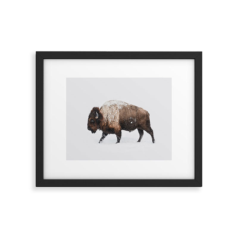 Bison Framed Art Print Gallery Image 5