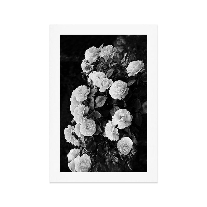 Black And White Roses Art Print Gallery Image 1