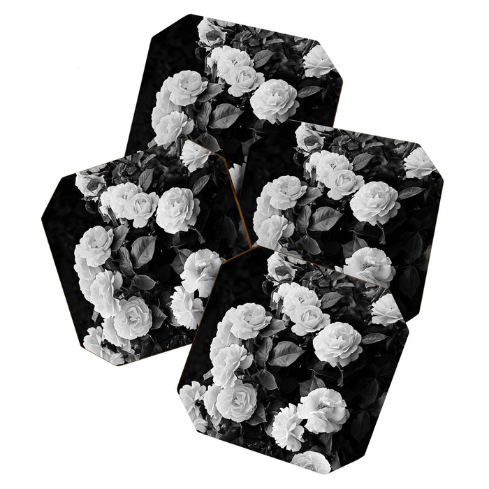 Black And White Roses Coaster Gallery Image 1