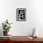 Black And White Roses Framed Art Print Gallery Image 2
