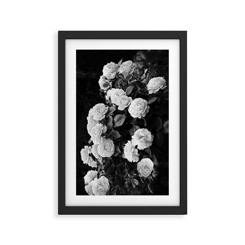 Black And White Roses Framed Art Print Gallery Image 2