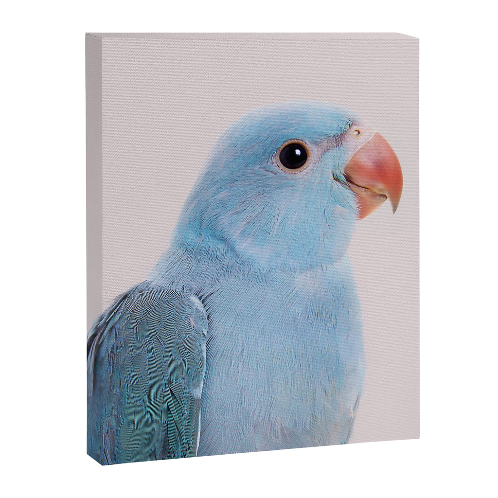 Blue Parrot Canvas Print Gallery Image 6