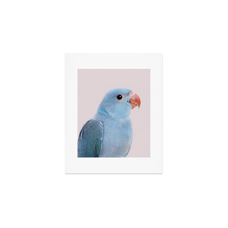 Blue Parrot Art Print Gallery Image 1