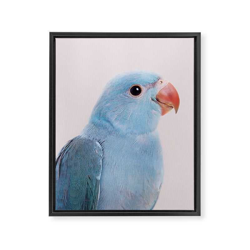 Blue Parrot Framed Canvas Print Gallery Image 6