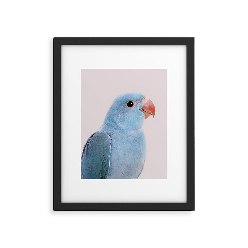 Blue Parrot Framed Art Print Gallery Image 4