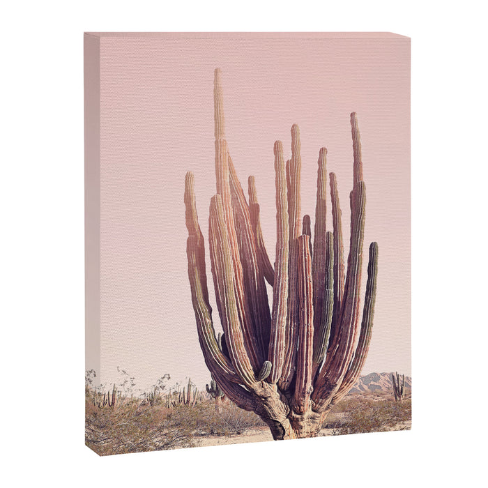 Blush Cactus Canvas Print Gallery Image 1