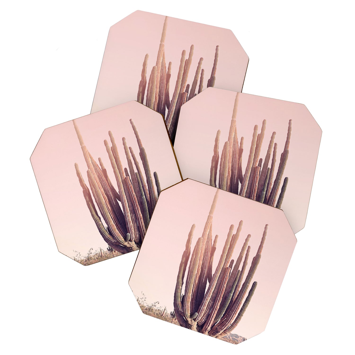 Blush Cactus Coaster Gallery Image 1