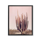 Blush Cactus Framed Canvas Print Gallery Image 6