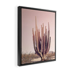 Blush Cactus Framed Canvas Print Gallery Image 2