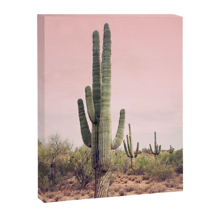 Blush Sky Cactus Canvas Print Gallery Image 1